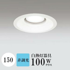 _ECg J150 F(5000K) M100W zCg HKv SB^(C fMޑΉ^) z116° gU tbg`LED