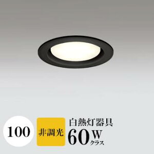 _ECg J100 dF(2700K) M60W ubN HKv SB^(C fMޑΉ^) z114° gU tbg`LED