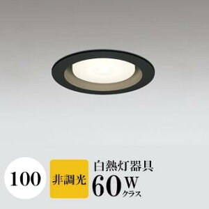 _ECg J100 dF(2700K) M60W ubN HKv SB^(C fMޑΉ^) z40° p tbg`LED