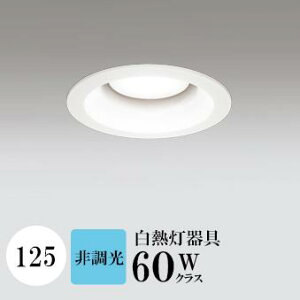 _ECg J125 F(5000K) M60W zCg HKv SB^(C fMޑΉ^) z16° gU tbg`LED