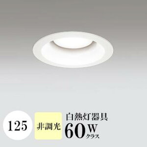 _ECg J125 F(3500K) M60W zCg HKv SB^(C fMޑΉ^) z16° gU tbg`LED