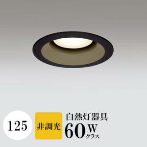 _ECg J125 dF(2700K) M60W ubN HKv SB^(C fMޑΉ^) z16° gU tbg`LED