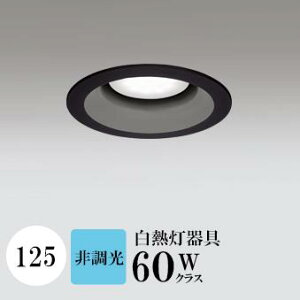 _ECg J125 F(5000K) M60W ubN HKv SB^(C fMޑΉ^) z16° gU tbg`LED