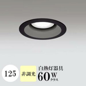 _ECg J125 F(3500K) M60W ubN HKv SB^(C fMޑΉ^) z16° gU tbg`LED