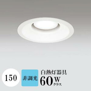 _ECg J150 F(5000K) M60W zCg HKv SB^(C fMޑΉ^) z116° gU tbg`LED