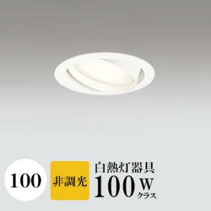 _ECg J100 dF(2700K) M100W zCg HKv SB^(C fMޑΉ^) z114° gU tbg`LED