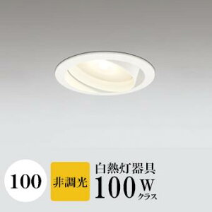 _ECg J100 dF(2700K) M100W ubN HKv SB^(C fMޑΉ^) z40° p tbg`LED