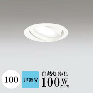 _ECg J100 F(5000K) M100W zCg HKv SB^(C fMޑΉ^) z114° gU tbg`LED