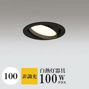 _ECg J100 dF(2700K) M100W ubN HKv SB^(C fMޑΉ^) z114° gU tbg`LED