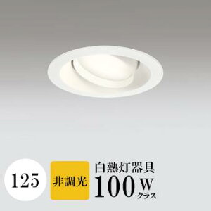 _ECg J125 dF(2700K) M100W zCg HKv SB^(C fMޑΉ^) z114° gU tbg`LED