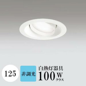 _ECg J125 F(5000K) M100W zCg HKv SB^(C fMޑΉ^) z114° gU tbg`LED