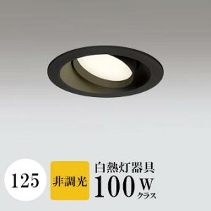 _ECg J125 dF(2700K) M100W ubN HKv SB^(C fMޑΉ^) z114° gU tbg`LED