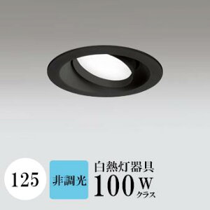 _ECg J125 F(5000K) M100W ubN HKv SB^(C fMޑΉ^) z114° gU tbg`LED