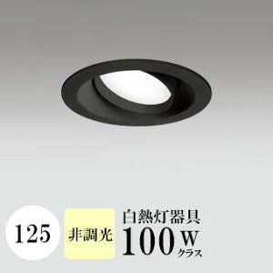 _ECg J125 F(3500K) M100W ubN HKv SB^(C fMޑΉ^) z114° gU tbg`LED