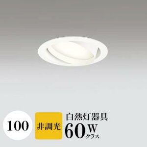 _ECg J100 dF(2700K) M60W zCg HKv SB^(C fMޑΉ^) z114° gU tbg`LED