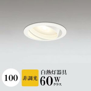 _ECg J100 dF(2700K) M60W ubN HKv SB^(C fMޑΉ^) z40° p tbg`LED