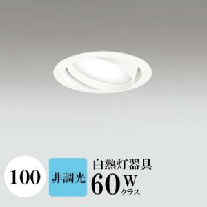 _ECg J100 F(5000K) M60W zCg HKv SB^(C fMޑΉ^) z114° gU tbg`LED