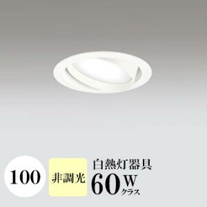 _ECg J100 F(3500K) M60W zCg HKv SB^(C fMޑΉ^) z114° gU tbg`LED