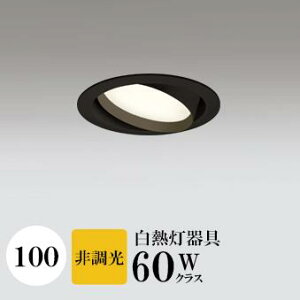 _ECg J100 dF(2700K) M60W ubN HKv SB^(C fMޑΉ^) z16° gU tbg`LED