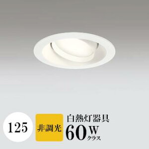 _ECg J125 dF(2700K) M60W zCg HKv SB^(C fMޑΉ^) z114° gU tbg`LED