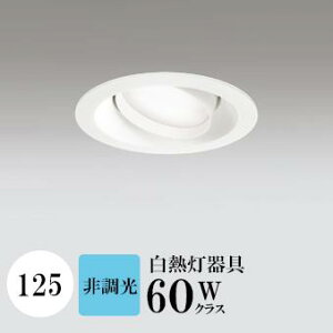 _ECg J125 F(5000K) M60W zCg HKv SB^(C fMޑΉ^) z114° gU tbg`LED