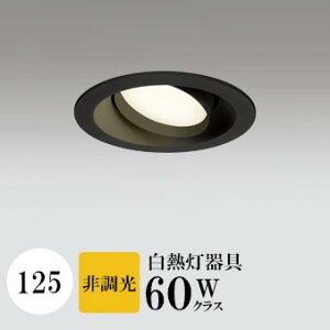 _ECg J125 dF(2700K) M60W ubN HKv SB^(C fMޑΉ^) z114° gU tbg`LED