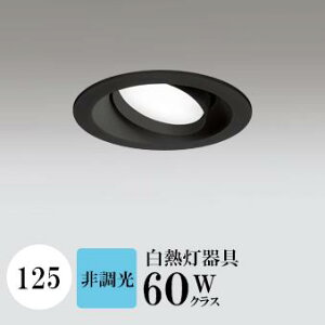 _ECg J125 F(5000K) M60W ubN HKv SB^(C fMޑΉ^) z114° gU tbg`LED