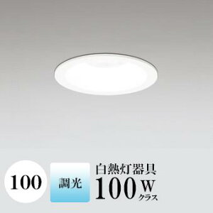 _ECg J100 F(5000K) M100W zCg HKv SB`(C fMޑΉ^) (ZT[AΉPƃZT[ł͂܂) A~_CJXg