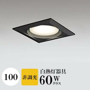 _ECg J100 dF(2700K) M60W ubN HKv SB^(C fMޑΉ^) z114° gU tbg`LED