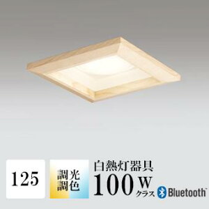 _ECg J125 EF M100W ؘg uE Bluetooth HKv SB^(C fMޑΉ^) z117° gU tbg`LED