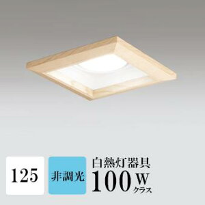 _ECg J125 F(5000K) M100W ؘg uE HKv SB^(C fMޑΉ^) z115° gU tbg`LED