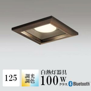 _ECg J125 EF M100W ؘg uE Bluetooth HKv SB^(C fMޑΉ^) z117° gU tbg`LED