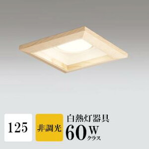 _ECg J125 dF(2700K) M100W ؘg uE HKv SB^(C fMޑΉ^) z117° gU tbg`LED