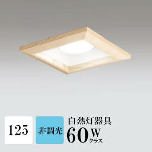 _ECg J125 F(5000K) M100W ؘg uE HKv SB^(C fMޑΉ^) z117° gU tbg`LED