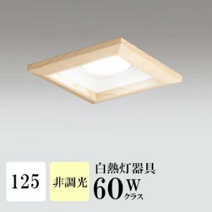 _ECg J125 F(3500K) M100W ؘg uE HKv SB^(C fMޑΉ^) z117° gU tbg`LED