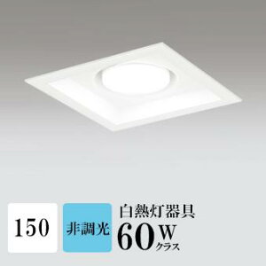 _ECg J150 F(5000K) M100W zCg HKv SB^(C fMޑΉ^) z118° gU tbg`LED