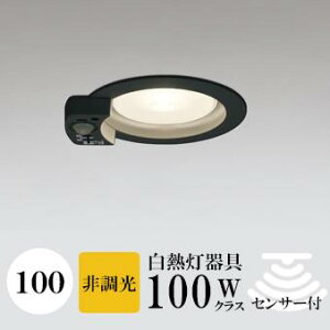 _ECg J100 dF(2700K) M100W ubN HKv SB^(C fMޑΉ^) z41° p tbg`LED