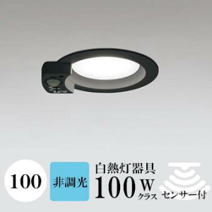 _ECg J100 F(5000K) M100W ubN HKv SB^(C fMޑΉ^) z112° gU tbg`LED