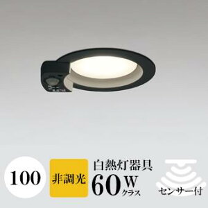 _ECg J100 dF(2700K) M60W ubN HKv SB^(C fMޑΉ^) z112° gU tbg`LED