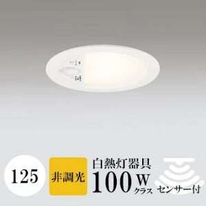 _ECg J125 dF(2700K) M100W zCg HKv SB^(C fMޑΉ^) z100° gU gCp CA\