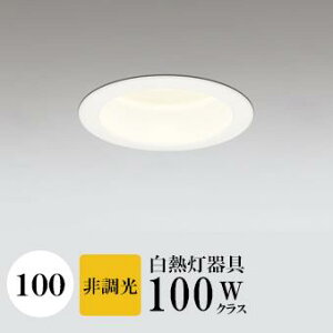 _ECg J100 dF(2700K) M100W ubN HKv SB^(C fMޑΉ^) z38° p tbg`LED | vɈʒunCR[^Cv