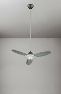 V[Ot@ X`[t@ t@{ AC[^[ ȈՌ^ ẘpx܂ŌXΑΉ 90cmpCvZbg Rt