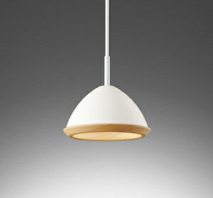 y_gCg k m 4.5ȉE^ HKv ẘpx܂ŌXΓV M60W F(5000K)