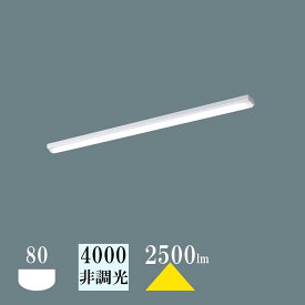 法人限定販売 ベースライト Panasonic トラフ型 40W型 白色4000K 2500lm 非調光 XFX420NEW LE9