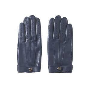 yK戵XzDENTS 007 XyN^[f UK M15-1007 OXFORD BLUE (fc)
