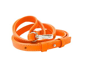 yK戵XzDEMIU STRAP 130cm ORANGE gуXgbv (f~E)
