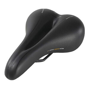 SERFAS/T[t@X DDM-CTE ELEMENTS DUAL DENSITYiGg fAfVeB fBJJbgj Th ]ԕi TCNp[c