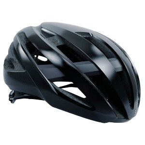 BHE-09 MAESTROi}GXgj MTCY ObV[ubN wbg