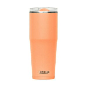 CAMELBAK �L�������o�b�N EVERYDAY �X���C���^���u���[ 0.6L/20OZ �f�U�[�g�T�����C�Y