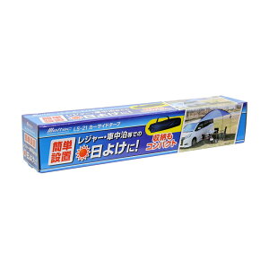 厩H LS-21 J[TCh^[v ebN